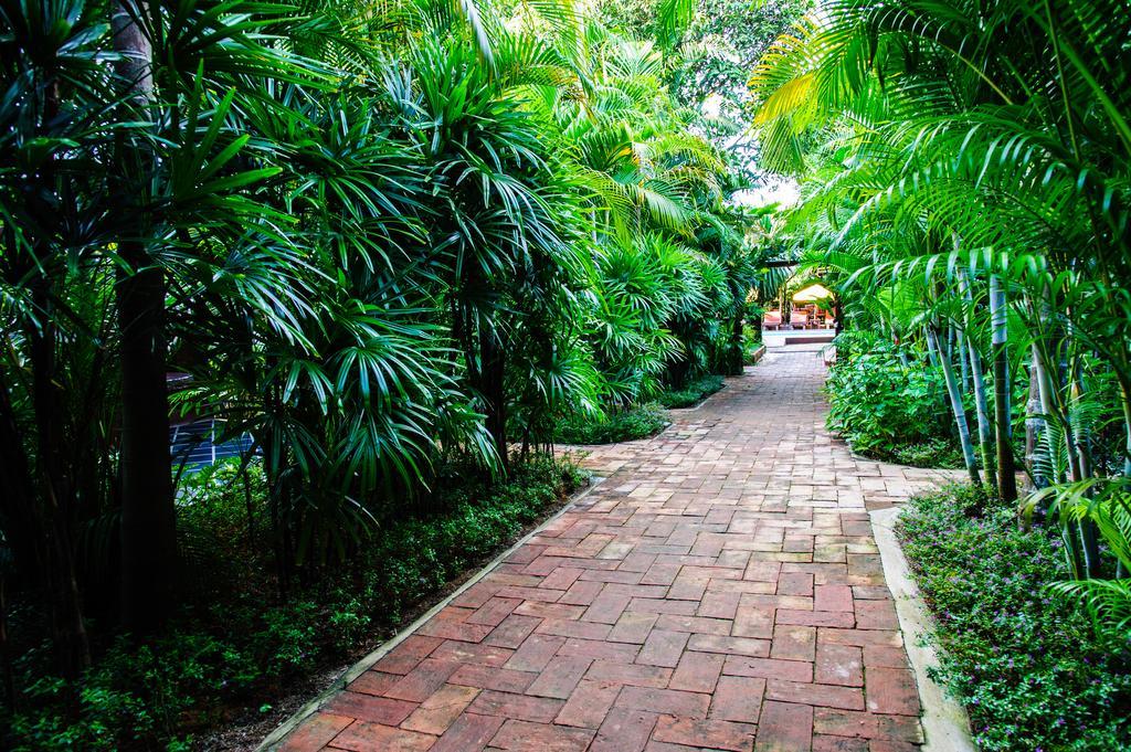 Baanpong Lodge San Kamphaeng Dış mekan fotoğraf