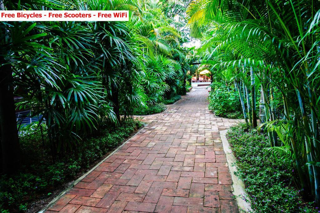 Baanpong Lodge San Kamphaeng Dış mekan fotoğraf