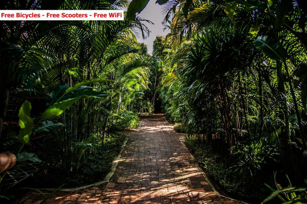 Baanpong Lodge San Kamphaeng Dış mekan fotoğraf
